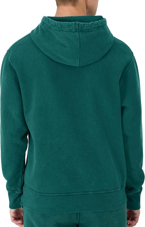 Champion Mineral Dye Graphic Hoodie GF9091 | eBay