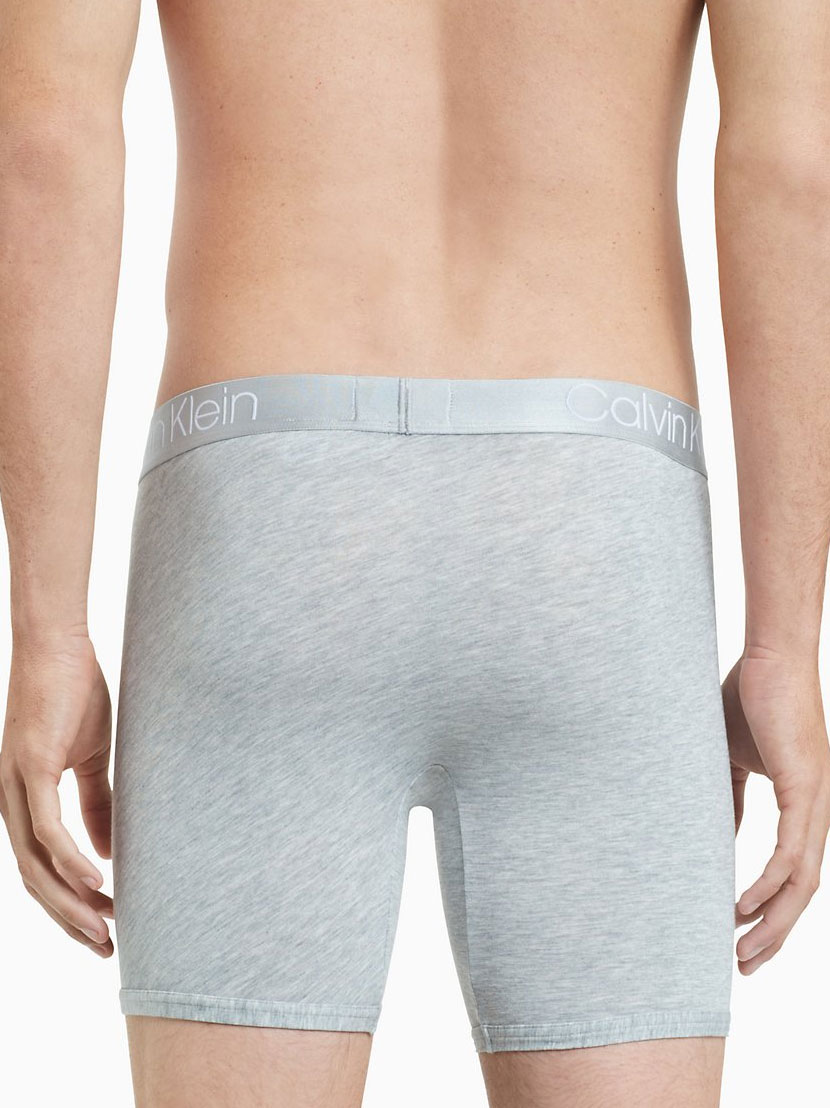 Calvin Klein Men's Ultra Soft Modal Boxer Briefs - NB1797 – Treasure  Lingerie